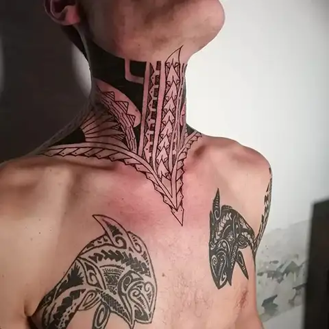 Stefano 6